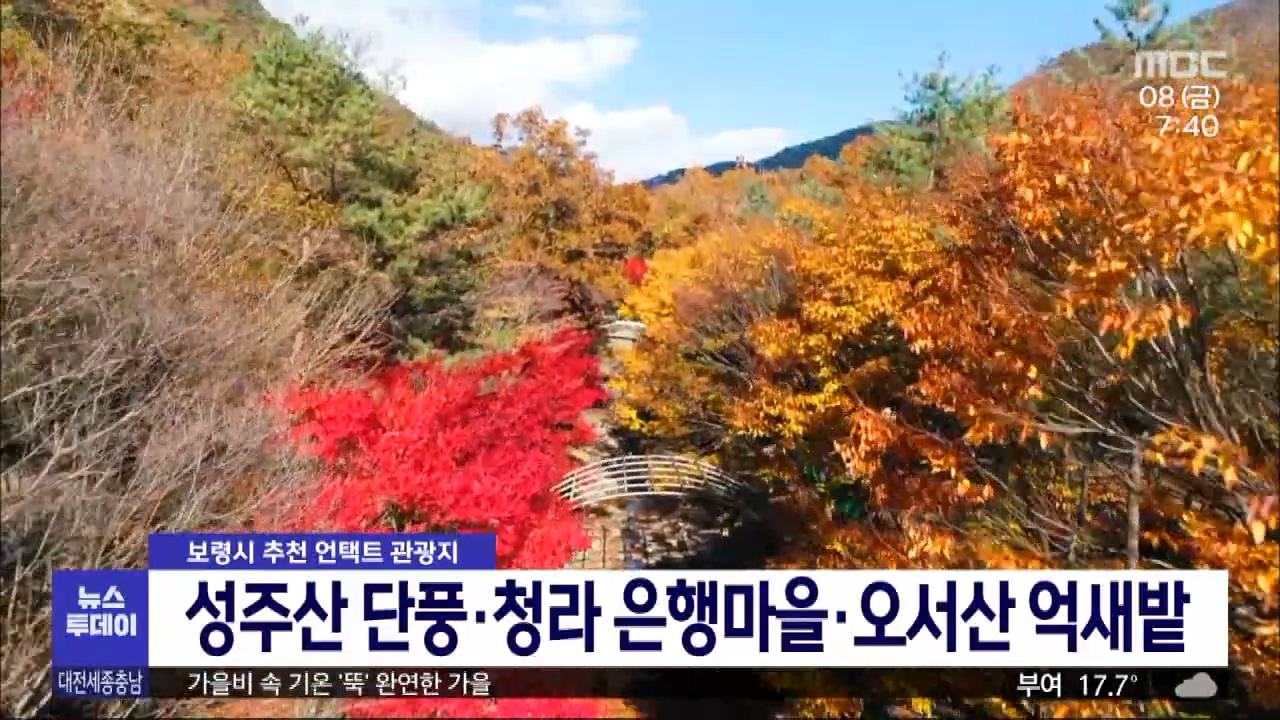 [1008 MBC 7시뉴스투데이]가을에 떠나면 좋을 보령시